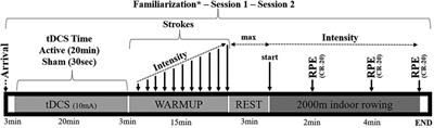 Acute anodal transcranial direct current stimulation improves the performance of professional rowers
